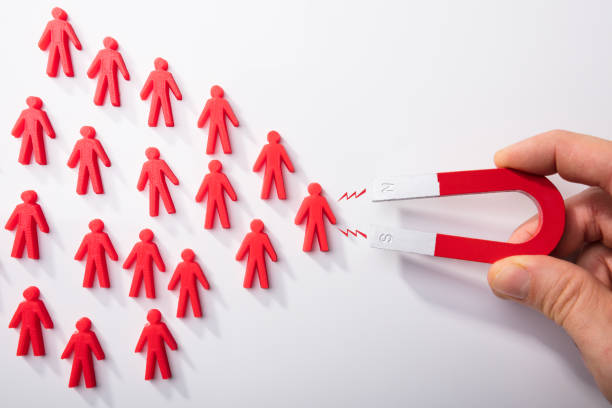 1. Centralise All Your Leads